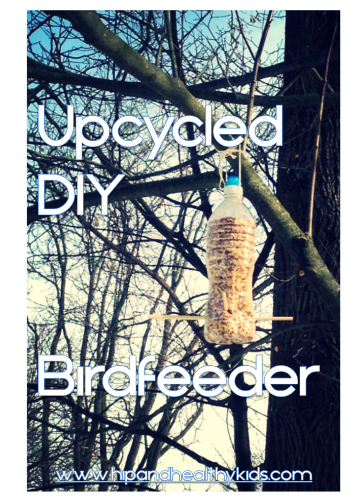 Upcycled DIY Birdfeeder - hipandhealthykids.com